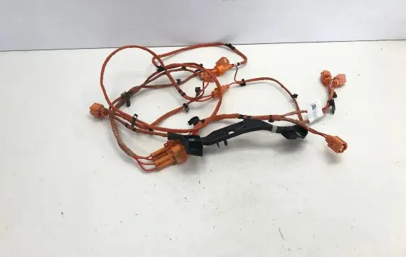 Cupra Born Wiring harness 1EA971398AM