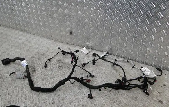 Volkswagen T-Cross Other wiring loom 