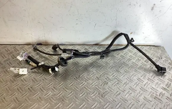 Lexus NX Other wiring loom 8218178121A