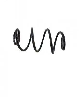 Front coil spring