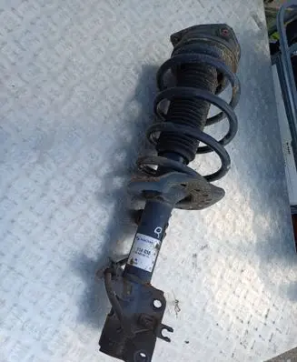 Nissan Qashqai Front shock absorber with coil spring