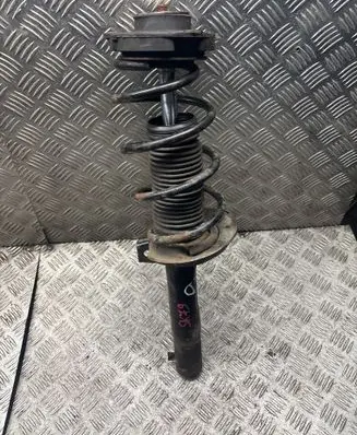 Skoda Octavia Mk2 (1Z) Front shock absorber with coil spring 