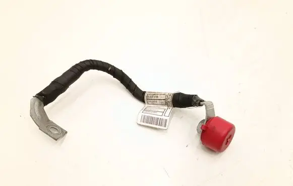 BMW 2 F46 Positive wiring loom 6825835