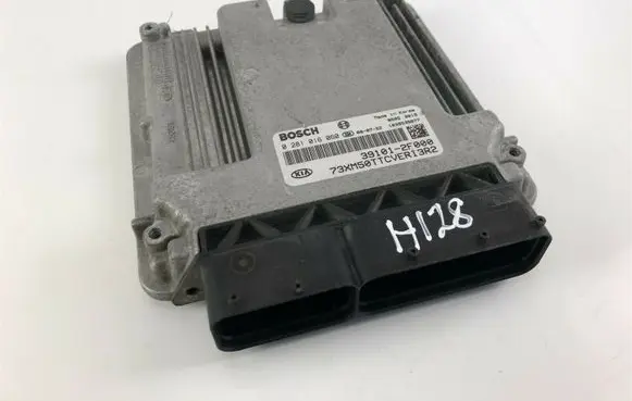 KIA Sorento Other control units/modules 0281016060 H128