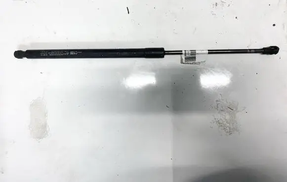 Tailgate/trunk strut/damper