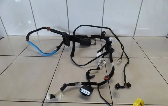 Hyundai i20 (GB IB) Front door wiring loom 91604-C8891