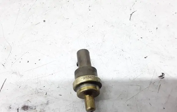 Volkswagen PASSAT B5.5 Coolant temperature sensor WS2607