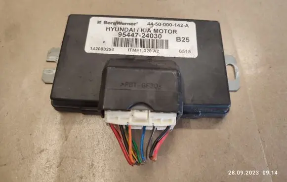 Hyundai Santa Fe Other control units/modules 9544724030
