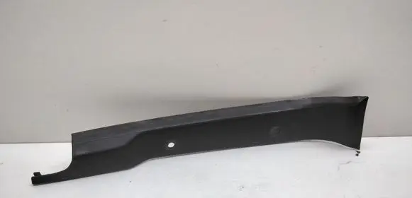 Rear/tail light trim molding