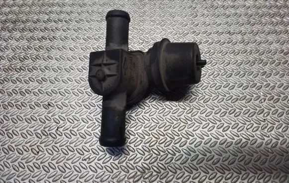 Volkswagen Crafter Vacuum valve 701819809G