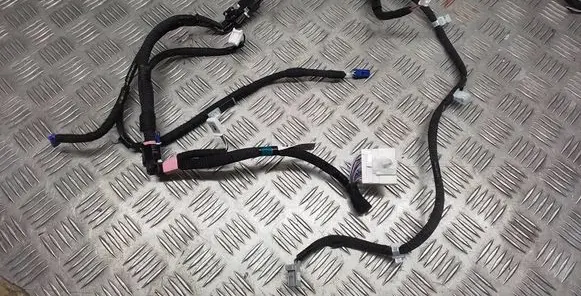 Lexus RX V Other wiring loom 8214348420C1