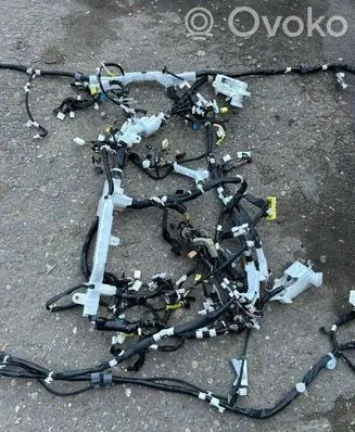Toyota C-HR I Panel wiring 82141F4K20 23045 82141F4X20