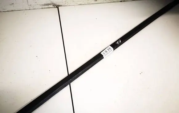 Nissan Murano Z50 Front door glass trim molding 
