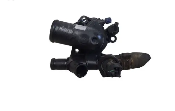 Thermostat/thermostat housing