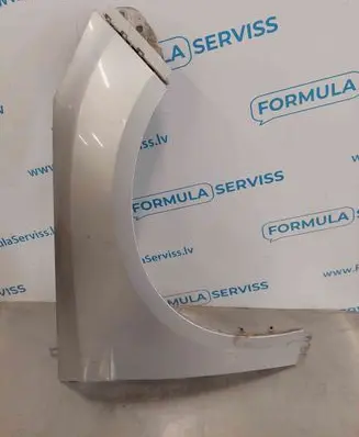 Ford Focus Fender