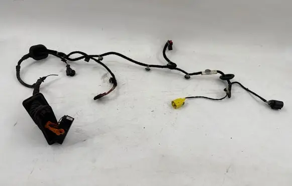 Volkswagen PASSAT B6 Front door wiring loom 3C1971121BF