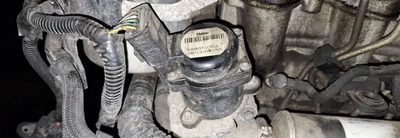 EGR valve