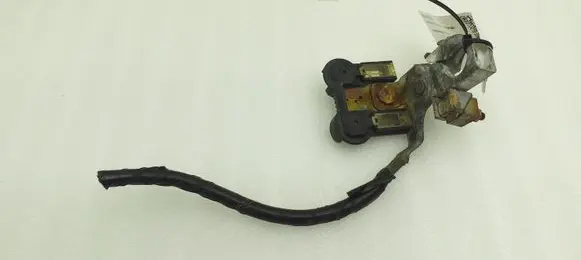 Positive wiring loom