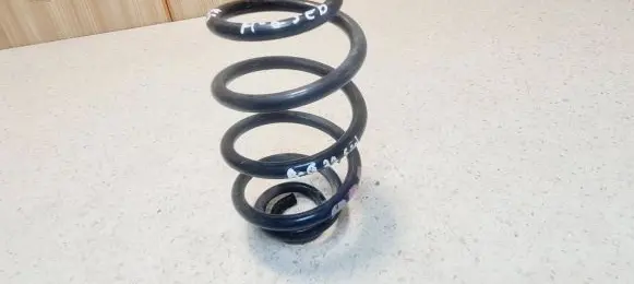 Rear coil spring