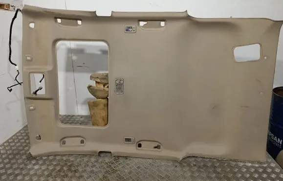 Nissan Murano Z50 Headlining 