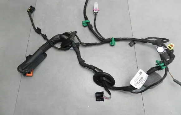 Front door wiring loom