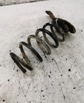 Toyota Avensis T270 Rear coil spring