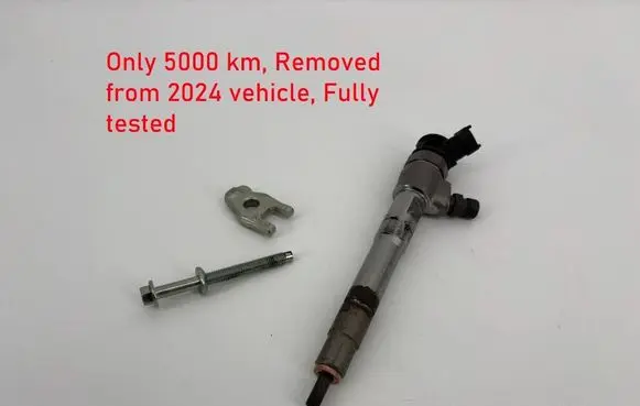 Renault Trafic III (X82) Fuel injector 0445110939