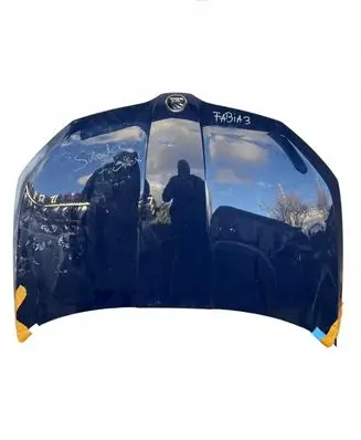 Skoda Fabia Mk3 (NJ) Engine bonnet/hood R10TEILE