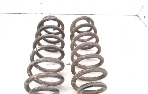 Volkswagen PASSAT B7 Rear coil spring