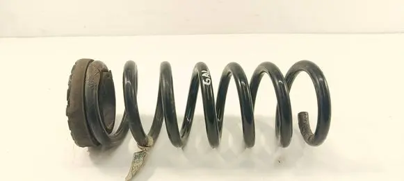 Rear coil spring