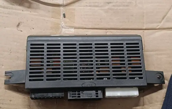 BMW X5 E53 Light module LCM 61356938287 6938287