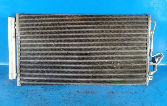 Hyundai Sonata Air conditioning (A/C) radiator (interior) 976064R000