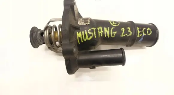 Thermostat/thermostat housing