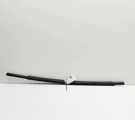 Ford Mustang Mach-E Rear door glass trim molding LJ8BR25605AC