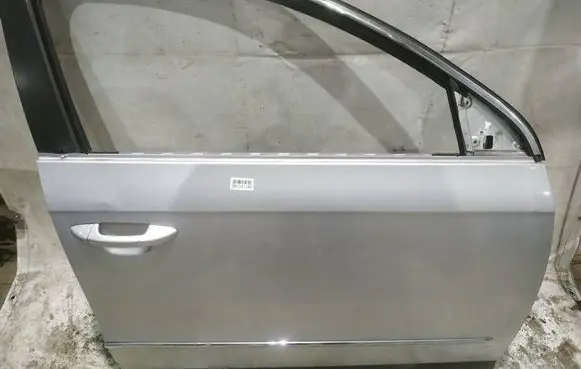 Volkswagen PASSAT B6 Front door PILKOS