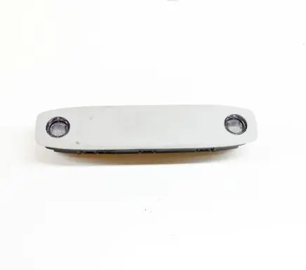 Tesla Model 3 Front seat light 109257591H