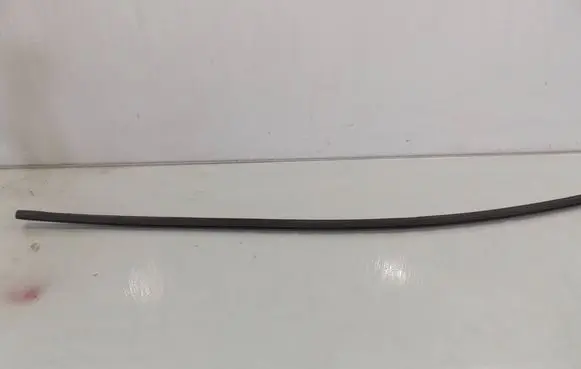 Renault Modus Front door glass trim molding 