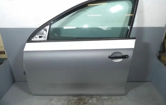 Skoda Rapid (NH) Front door
