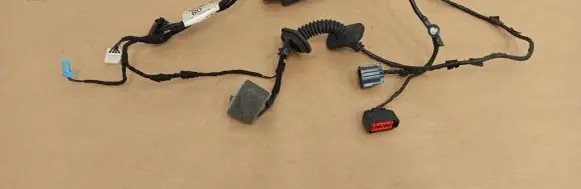 Rear door wiring loom