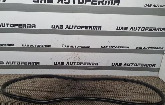 Mazda 3 II Front door rubber seal 
