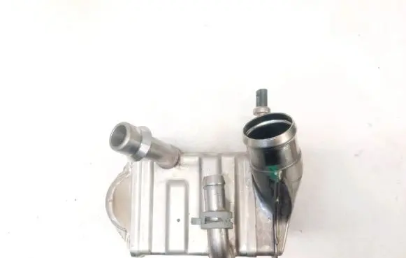 EGR valve cooler