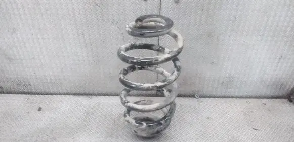 Rear coil spring