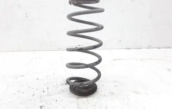 Smart ForFour I Rear coil spring