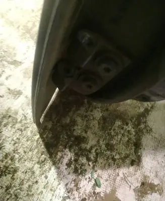 BMW 3 E90 E91 Rear door lower hinge 