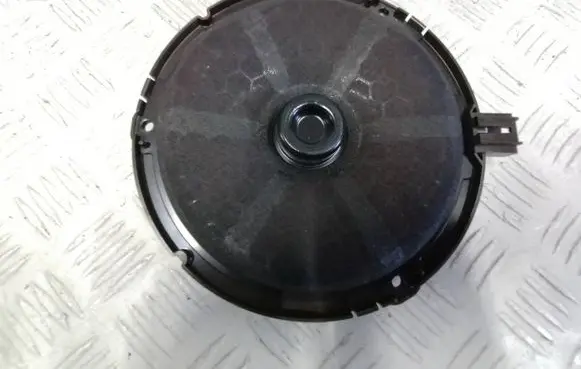 Peugeot 508 RXH Panel speaker 
