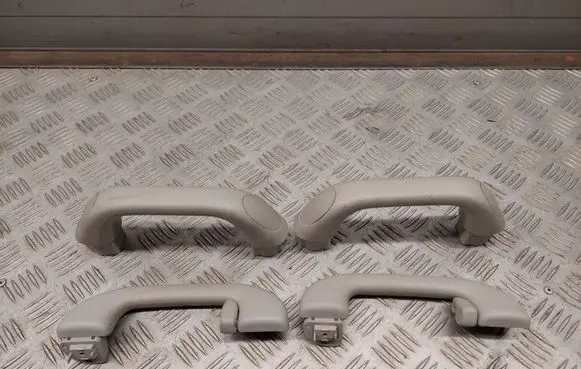 Chrysler Pacifica A set of handles for the ceiling 1VW49TRMAA