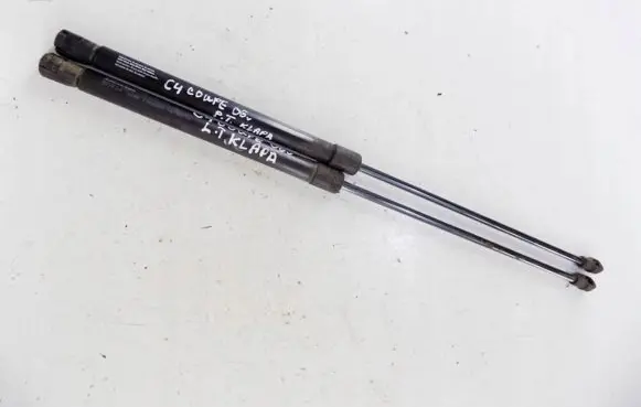 Tailgate strut