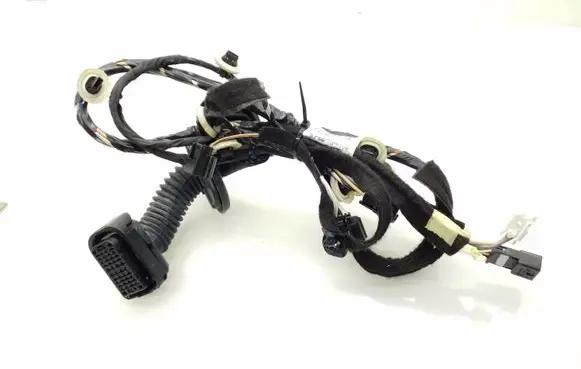 Front door wiring loom