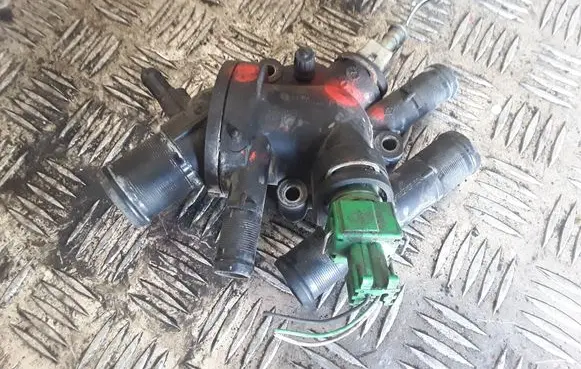 Thermostat/thermostat housing