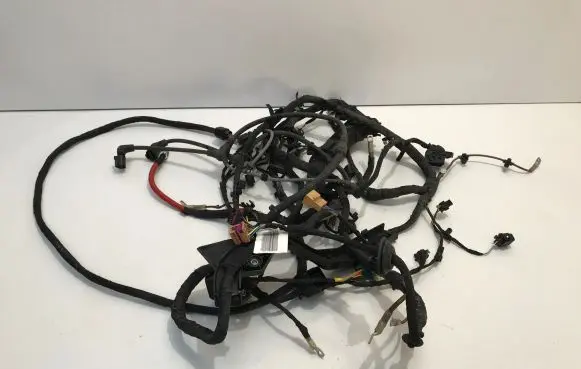Cupra Born Other wiring loom TAB016490CC 4910056